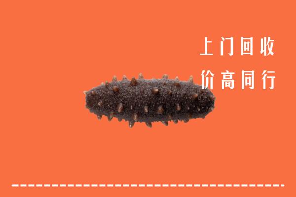 北湖区回收海参