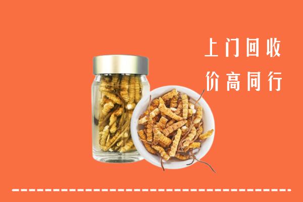 北湖区回收冬虫夏草